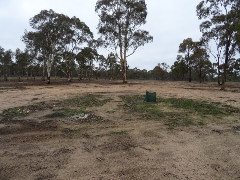 10 Smiths Street, Bealiba VIC 3475