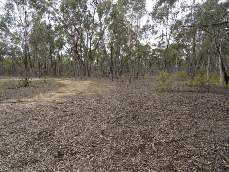 135 Pilchers Road, RED LION, Talbot VIC 3371