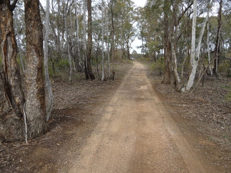 135 Pilchers Road, RED LION, Talbot VIC 3371