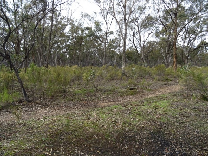 135 Pilchers Road, RED LION, Talbot VIC 3371