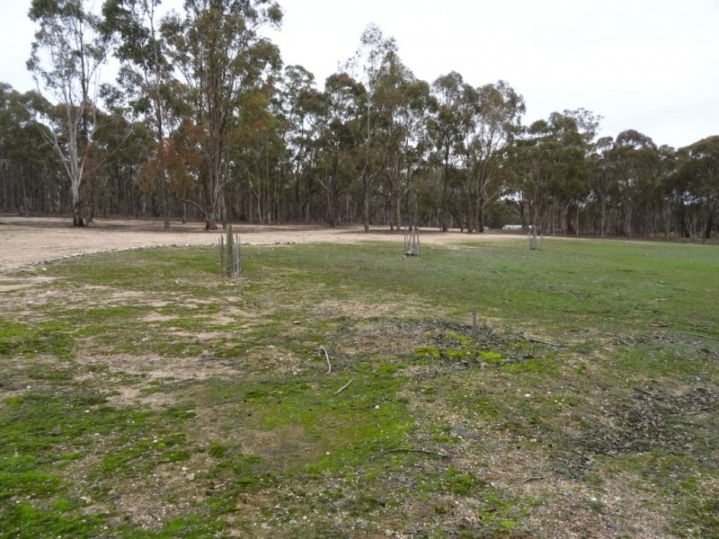 135 Pilchers Road, RED LION, Talbot VIC 3371