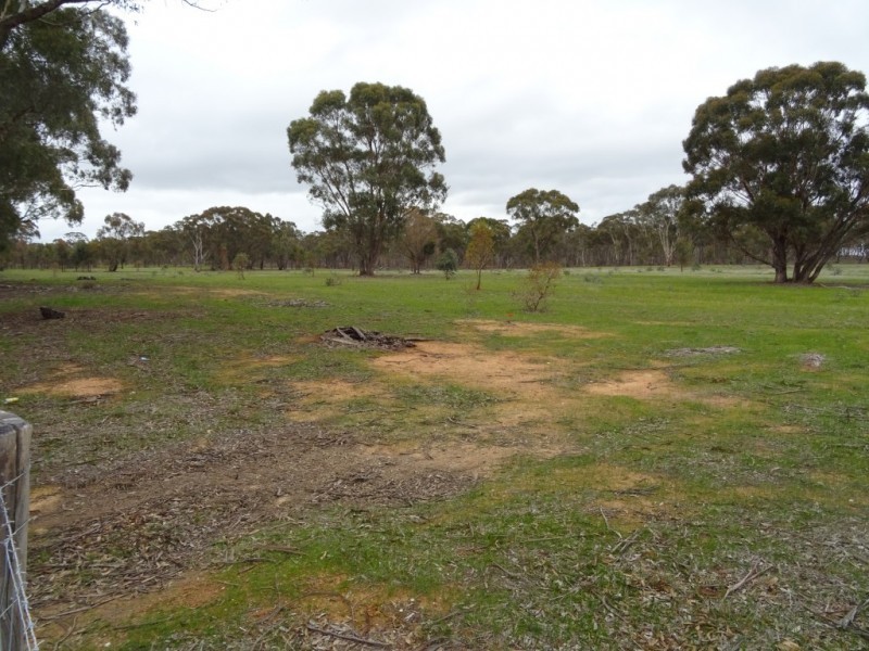 486 Maryborough St Arnaud Road, Alma VIC 3465