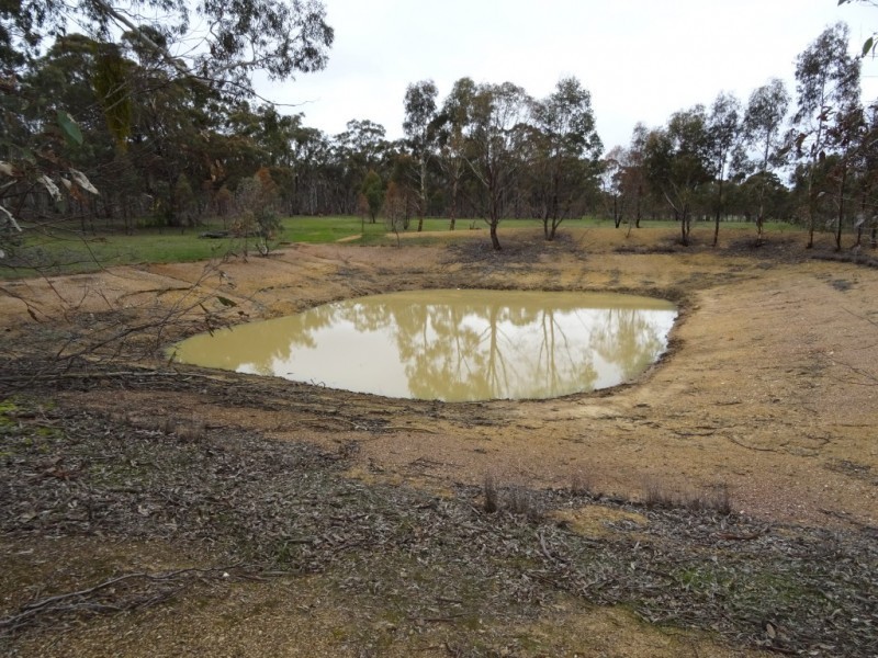 486 Maryborough St Arnaud Road, Alma VIC 3465