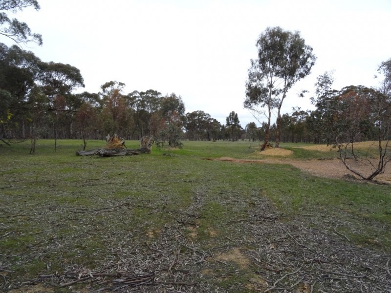 486 Maryborough St Arnaud Road, Alma VIC 3465