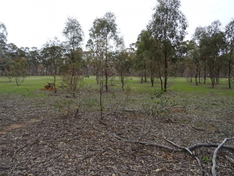 486 Maryborough St Arnaud Road, Alma VIC 3465