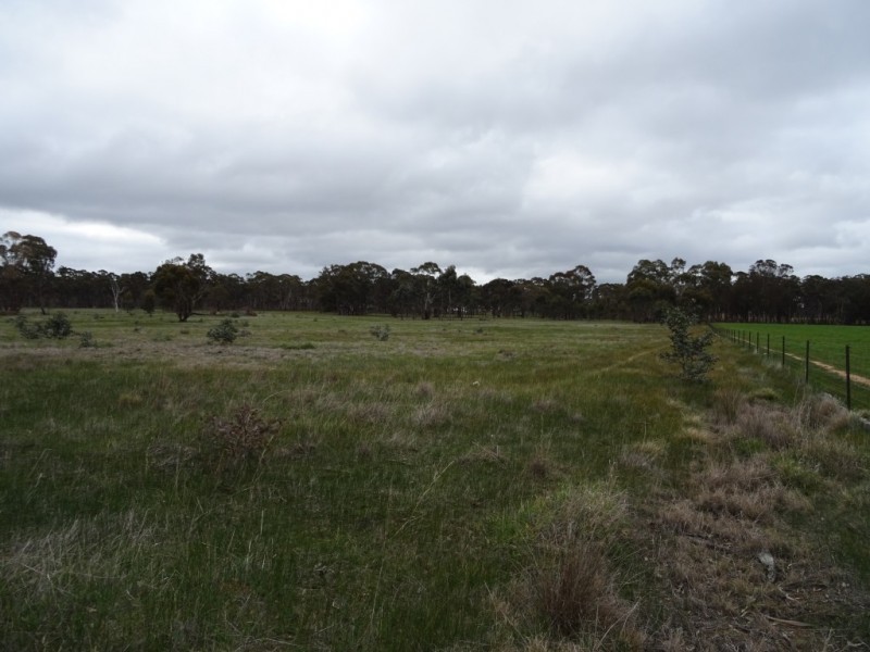 486 Maryborough St Arnaud Road, Alma VIC 3465