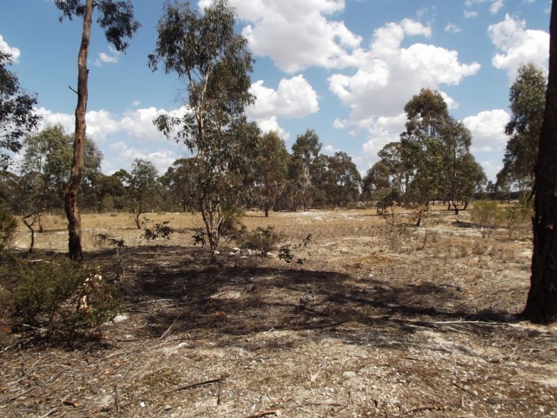 47 Separation Road, Dunolly VIC 3472