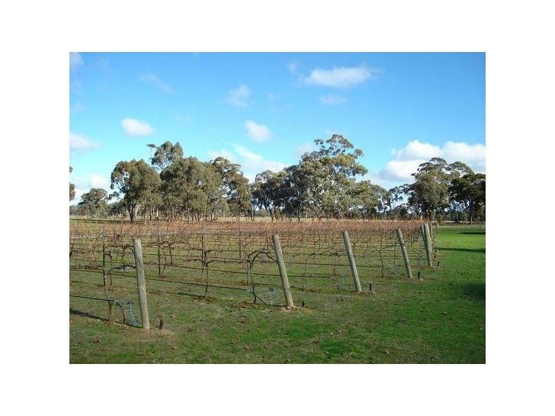 55 Collings Road, Talbot VIC 3371