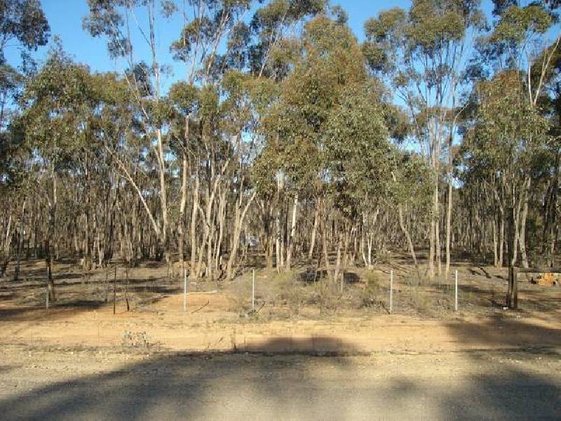 21 Arcadia Court, Maryborough VIC 3465