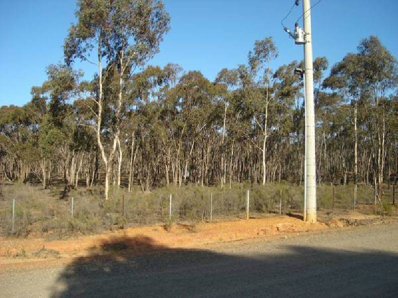 21 Arcadia Court, Maryborough VIC 3465