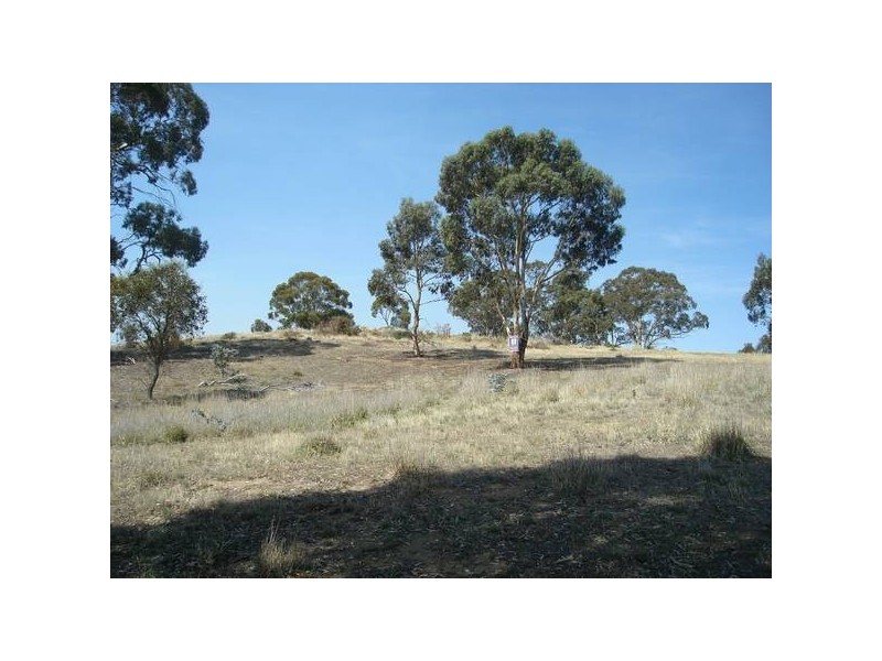 1383 McCallums Creek Road, Talbot VIC 3371