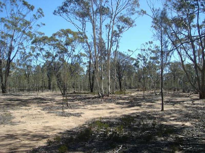 10 Bealiba South Road, Dunluce VIC 3472