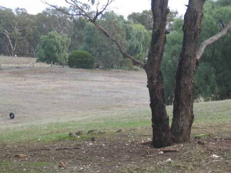 Middle Road, Dunolly VIC 3472