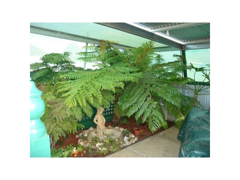 4 Napier Street, Maryborough VIC 3465