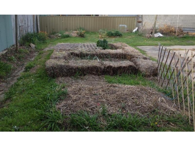 51 Burke Street, Maryborough VIC 3465