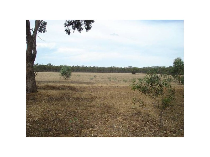 251 Dunolly Timor Road, Dunolly VIC 3472