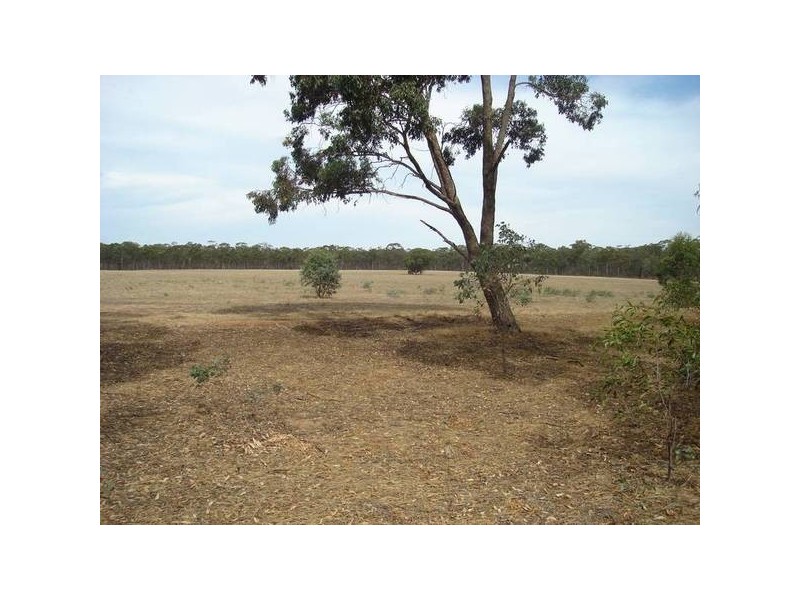 251 Dunolly Timor Road, Dunolly VIC 3472