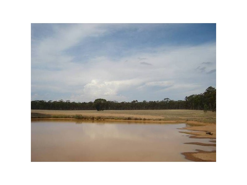 251 Dunolly Timor Road, Dunolly VIC 3472
