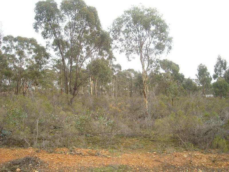 14 Arcadia Court, Simson VIC 3465