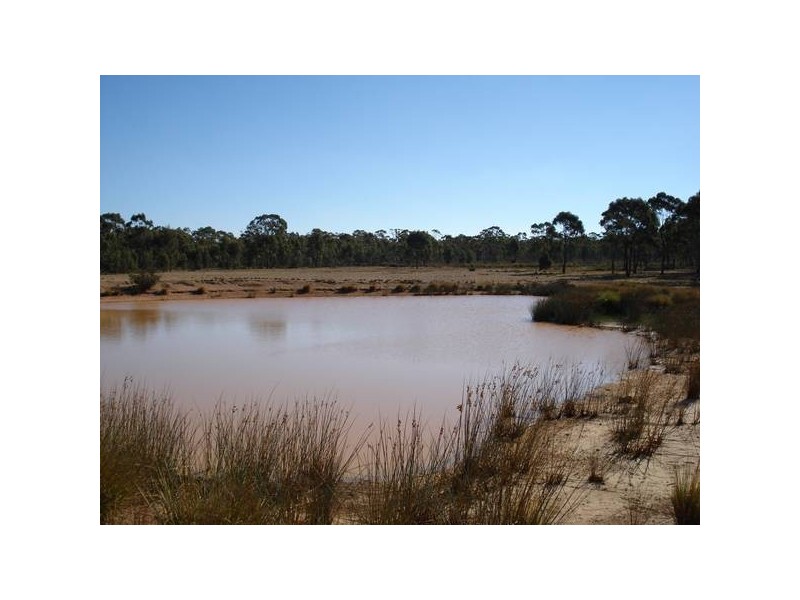 Cnr Moonlight Road & Possum Gully Road, Maryborough VIC 3465