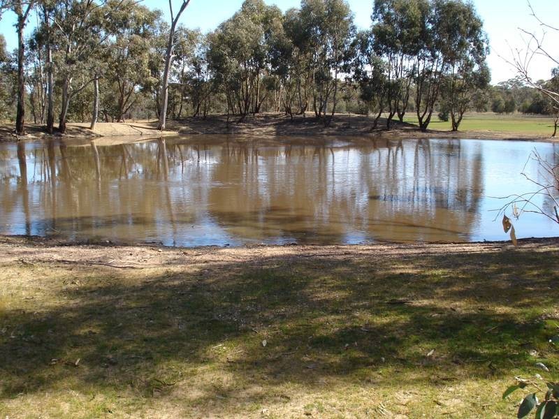 31 George Street, Bet Bet VIC 3472