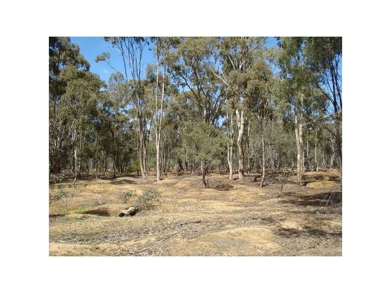Mortons Lane, Waanyarra VIC 3551