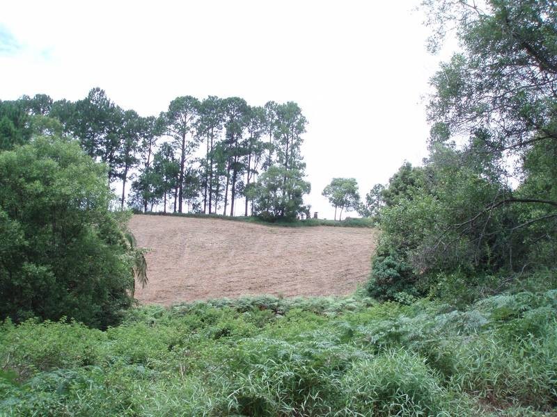 168 Highland Road, Eudlo QLD 4554