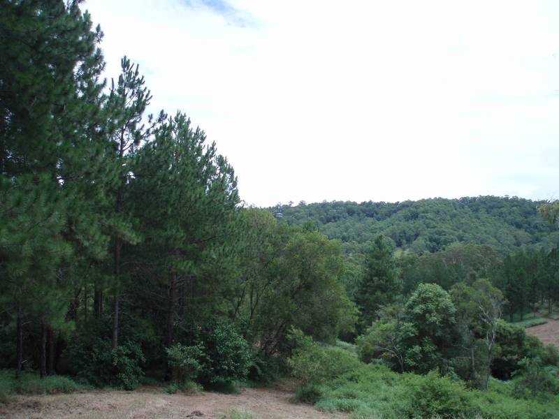 168 Highland Road, Eudlo QLD 4554