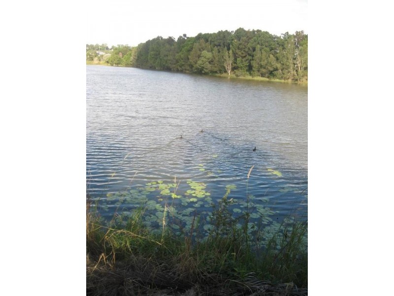 11/34 Lakara,Dalton Drive, Maroochydore QLD 4558