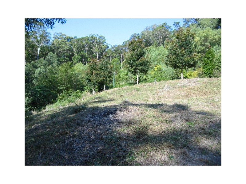 73 Martins Creek Road, Buderim QLD 4556