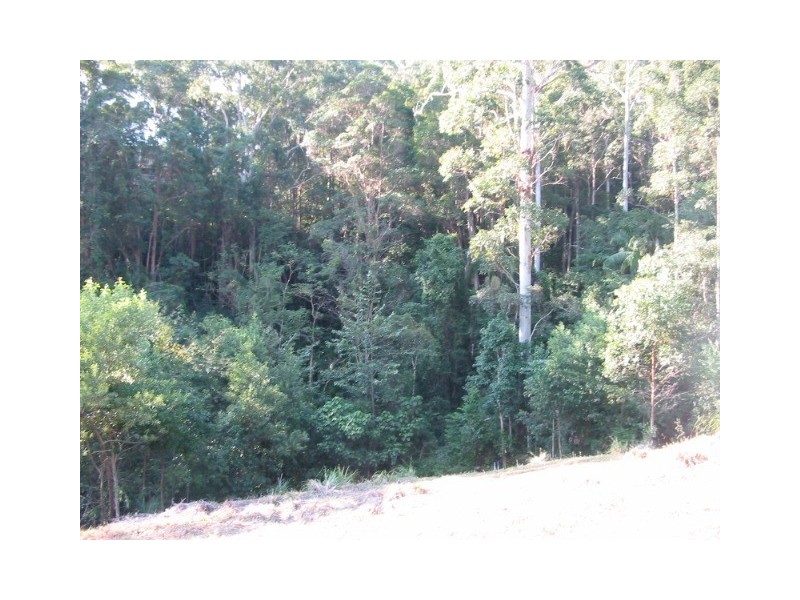 73 Martins Creek Road, Buderim QLD 4556