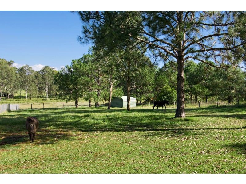 31 Jordan Street, Caloundra QLD 4551