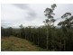 Lot 12 Donna Place, Buderim QLD 4556