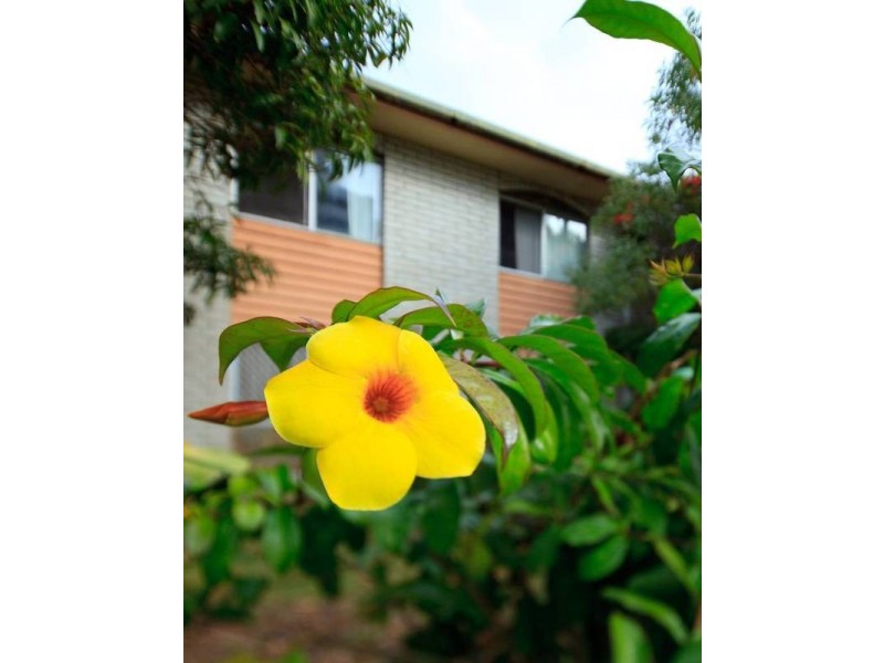 1/23 Parker Street, Maroochydore QLD 4558