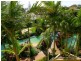 341/180 Alexandra Beach Resort, Alexandra Parade, Alexandra Headland QLD 4572