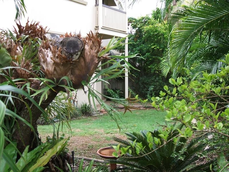 1/20-22 City Villas, Baden Powell Street, Maroochydore QLD 4558