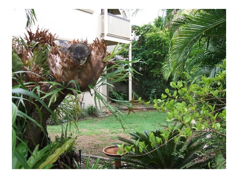1/20-22 City Villas, Baden Powell Street, Maroochydore QLD 4558