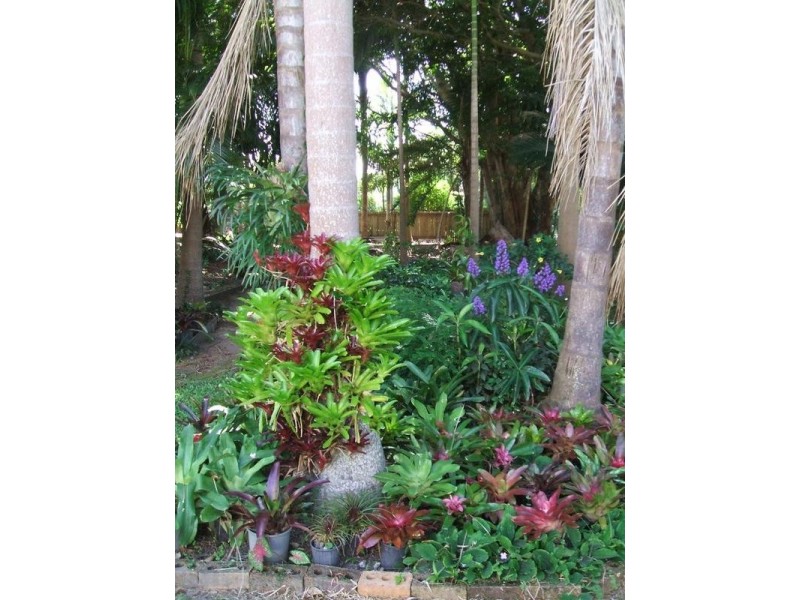 58 Wrigley Street, Maroochydore QLD 4558