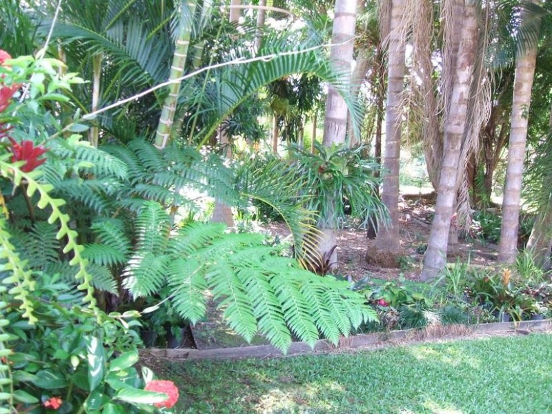 58 Wrigley Street, Maroochydore QLD 4558