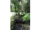 345 Old Bruce Highway,, Tanawha QLD 4556