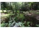 345 Old Bruce Highway,, Tanawha QLD 4556