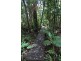 345 Old Bruce Highway,, Tanawha QLD 4556