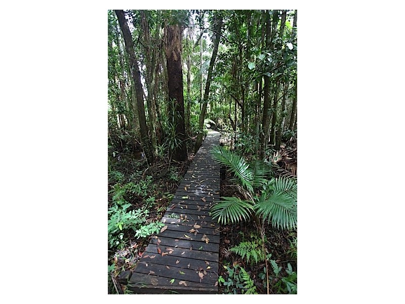 345 Old Bruce Highway,, Tanawha QLD 4556