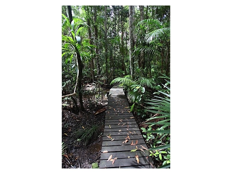 345 Old Bruce Highway,, Tanawha QLD 4556