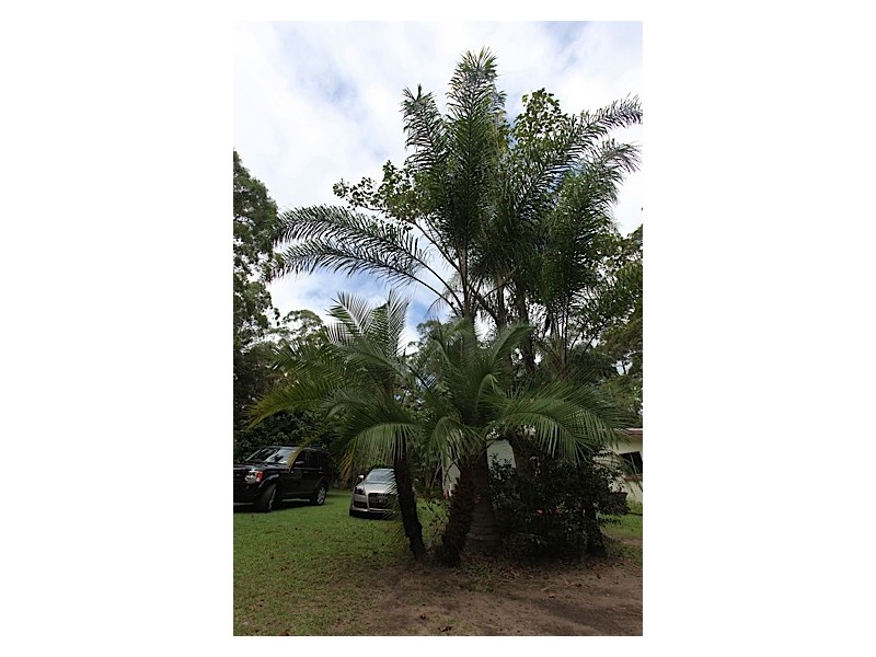 345 Old Bruce Highway,, Tanawha QLD 4556