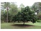 345 Old Bruce Highway,, Tanawha QLD 4556