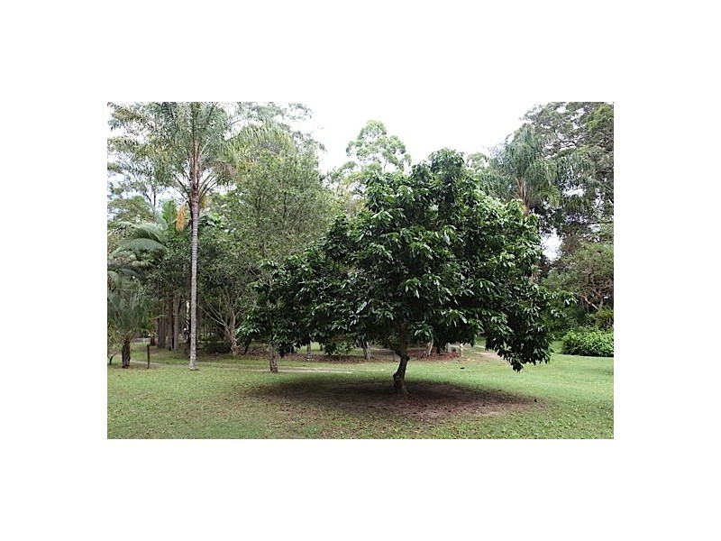 345 Old Bruce Highway,, Tanawha QLD 4556