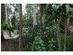 345 Old Bruce Highway,, Tanawha QLD 4556