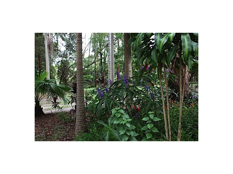 345 Old Bruce Highway,, Tanawha QLD 4556