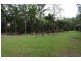 345 Old Bruce Highway,, Tanawha QLD 4556
